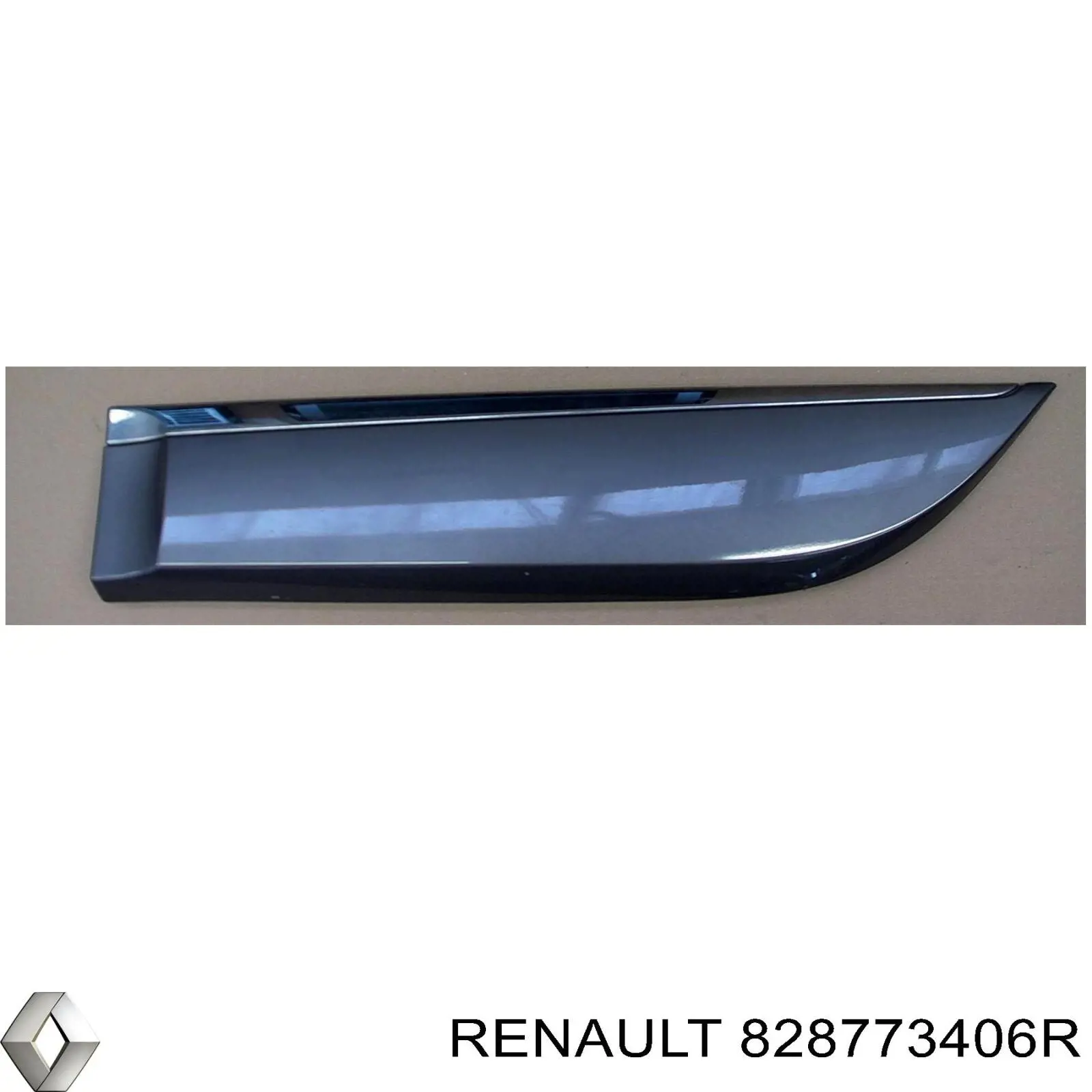 828773406R Renault (RVI) 