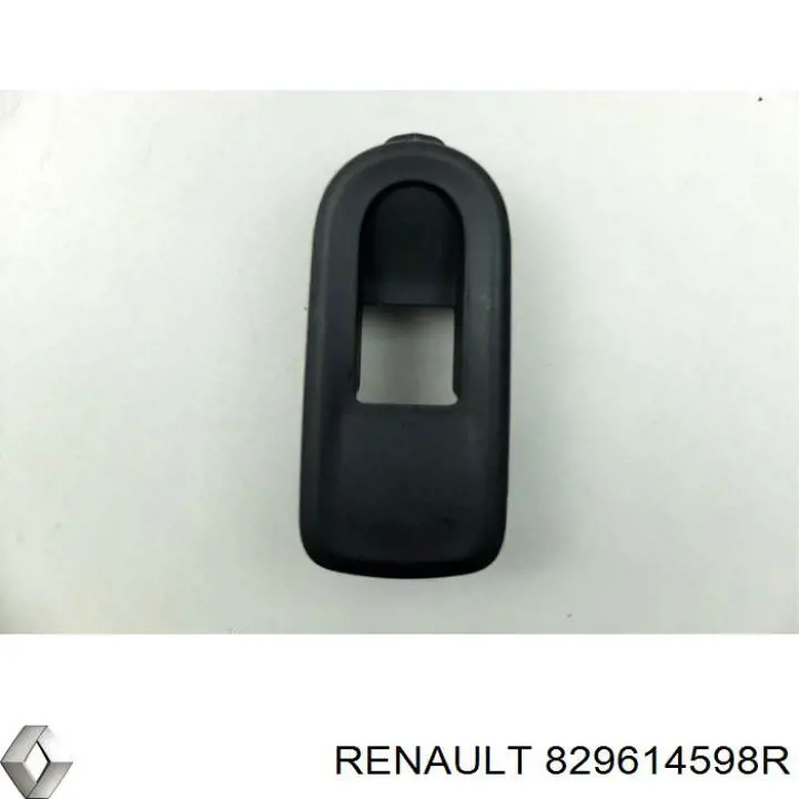 829614598R Renault (RVI) 