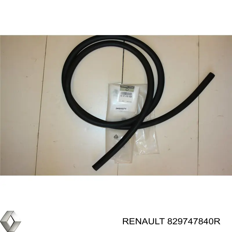 829747840R Renault (RVI) 