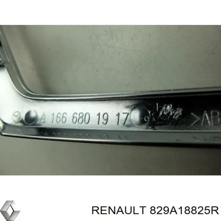  829A18825R Renault (RVI)