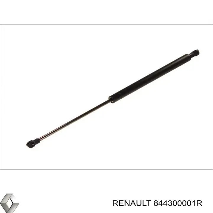 844300001R Renault (RVI) Амортизатор кришки багажника / двері 3/5-ї задньої