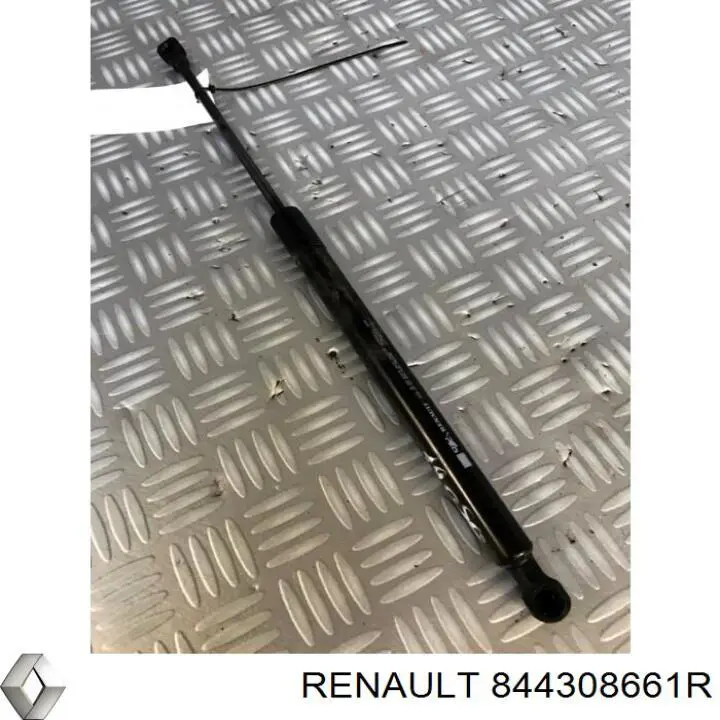 Амортизатор двері задньої Renault (RVI) 844308661R ціна, від 10.81 USD
