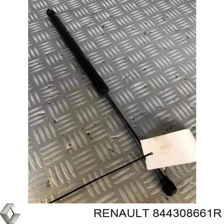 Амортизатор кришки багажника Renault (RVI) 844308661R