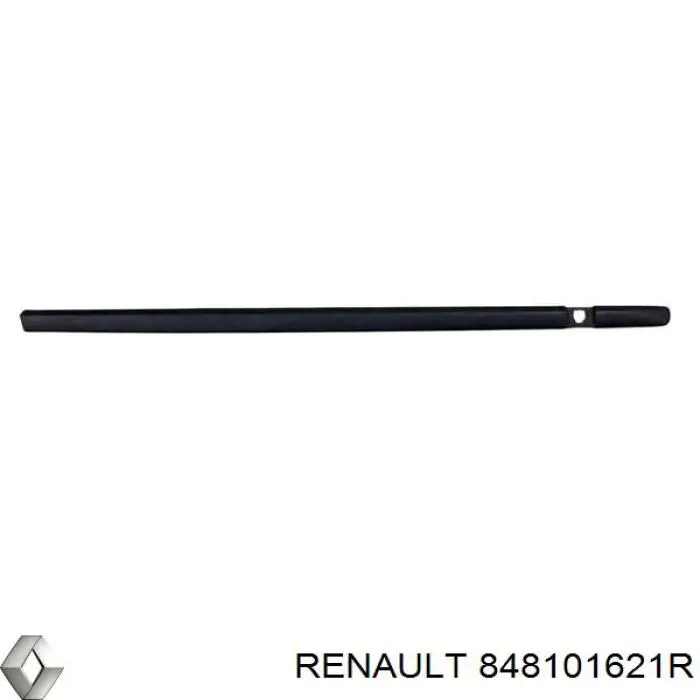  848101621R Renault (RVI)