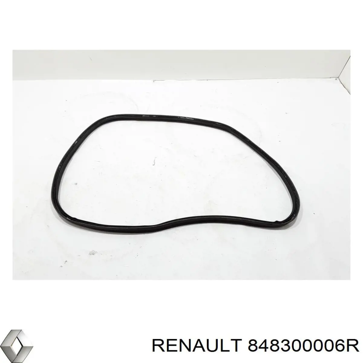 848300006R Renault (RVI) 