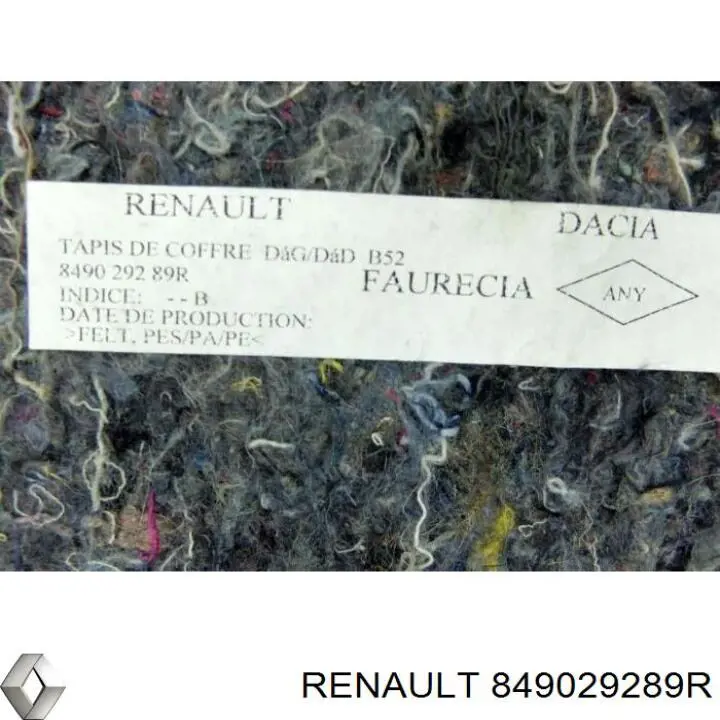  849029289R Renault (RVI)