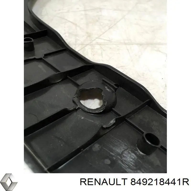 Купити 849218441R Renault (RVI) Накладка ляди нижня