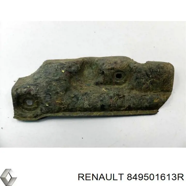 Облицювання багажного відсіку, праве Renault (RVI) 849501613R