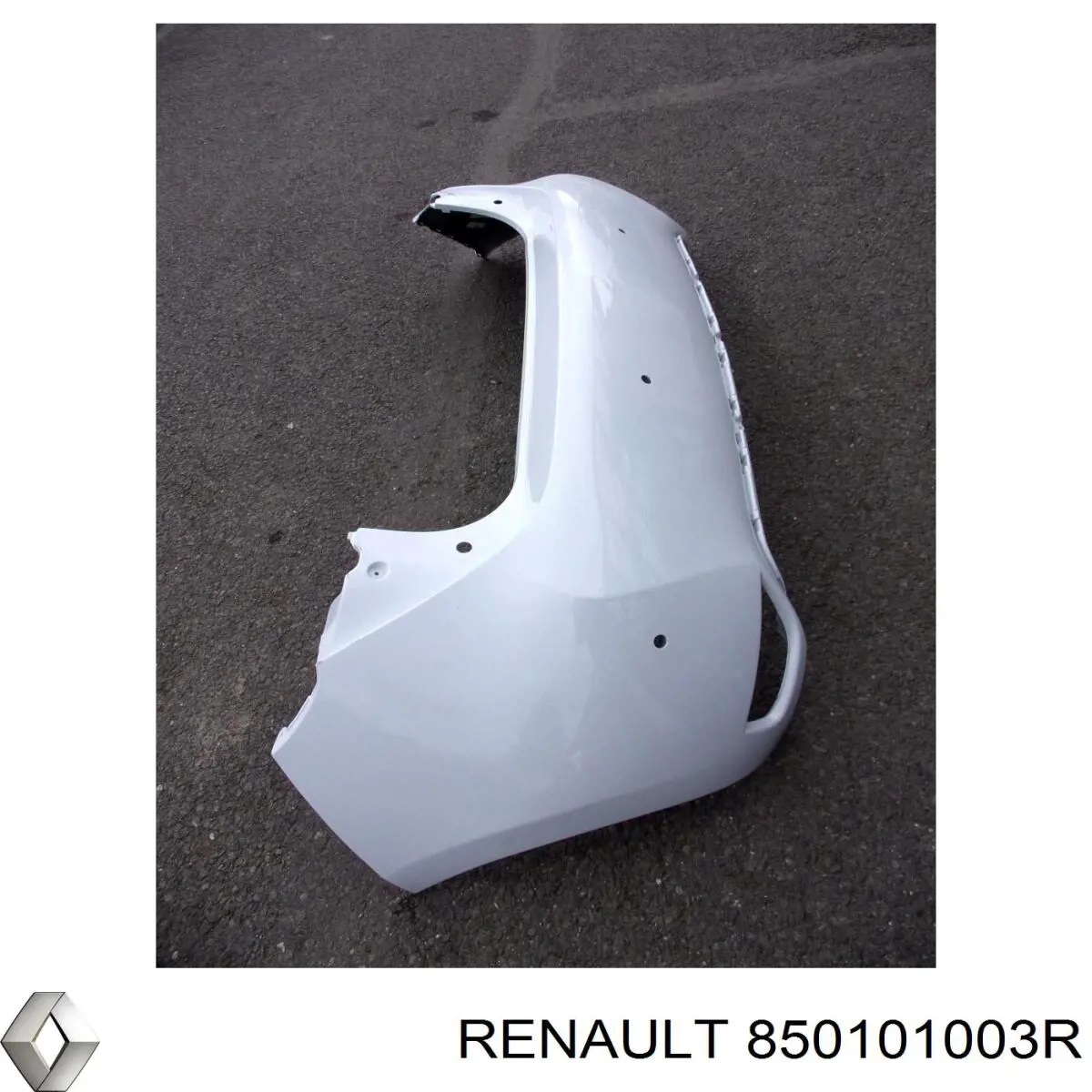  850101003R Renault (RVI)