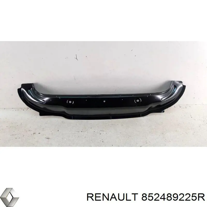 852489225R Renault (RVI) 