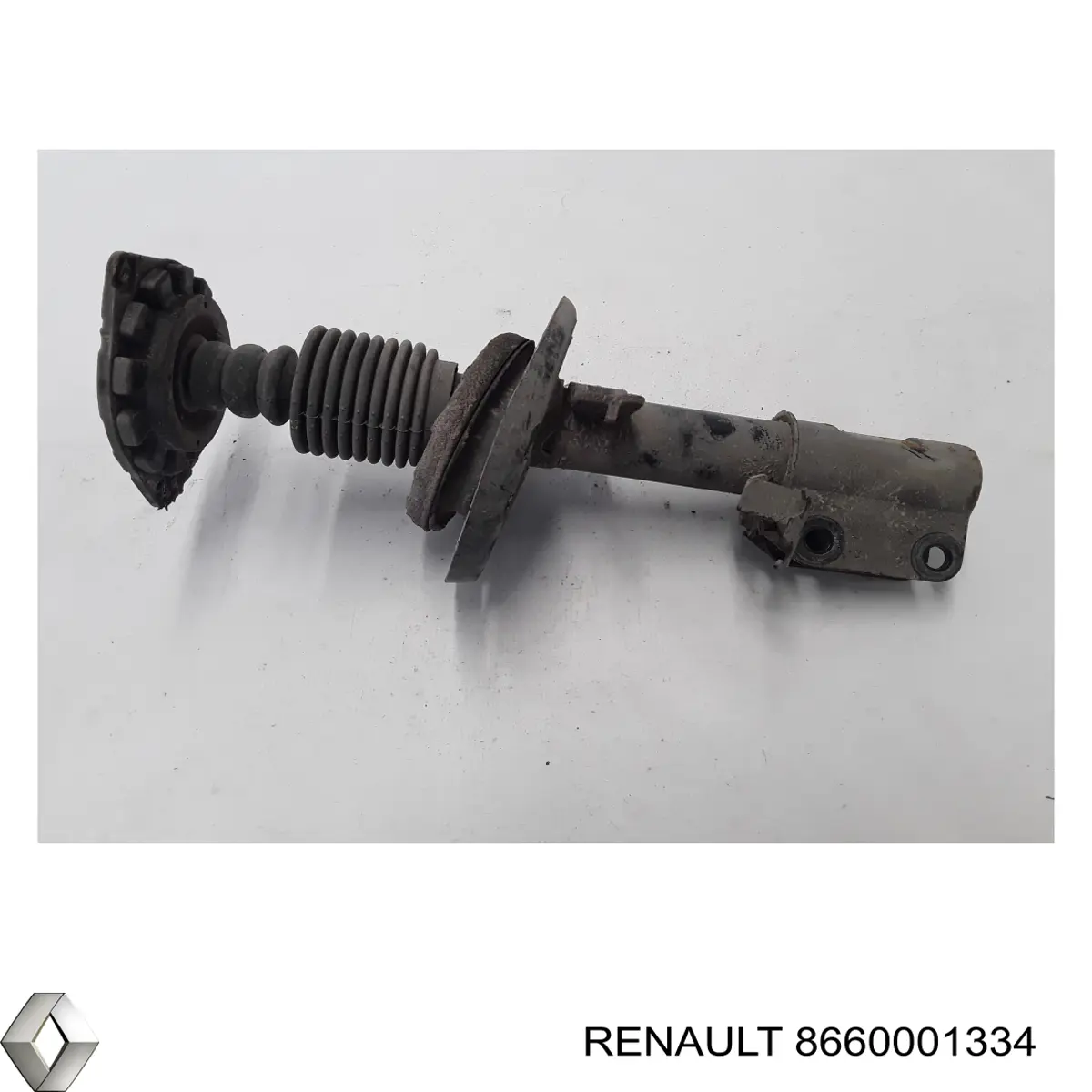 Амортизатор передній 8660001334 Renault (RVI)