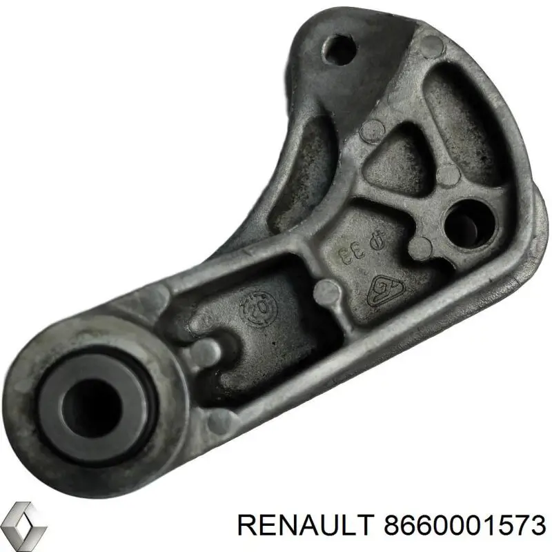  8660001573 Renault (RVI)