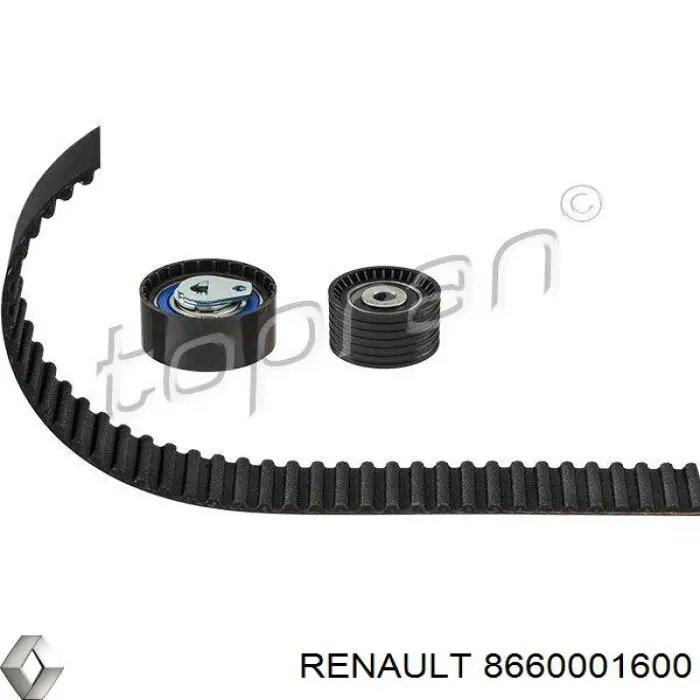 Комплект ГРМ Renault (RVI) 8660001600 ціна, від 99.69 USD