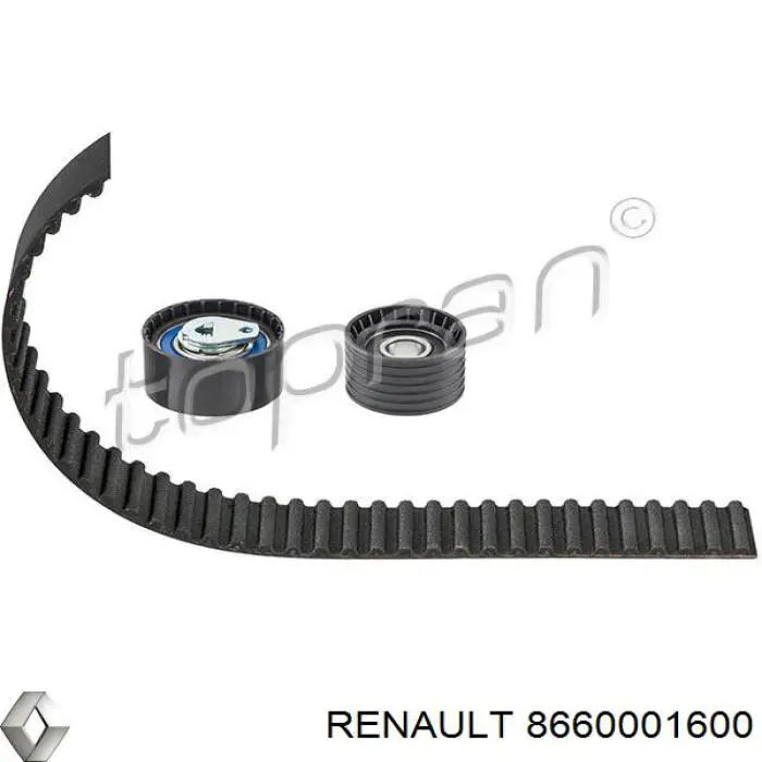 8660001600 Renault (RVI) комплект грм