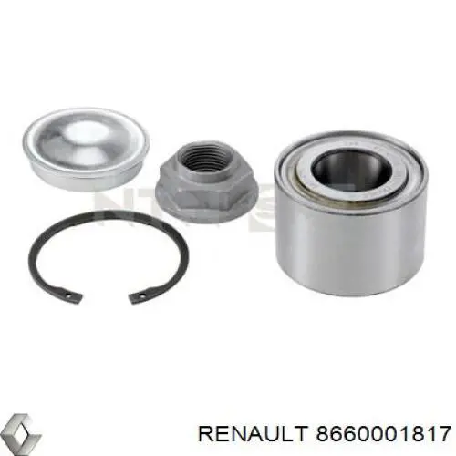 Задній підшипник Renault (RVI) 8660001817