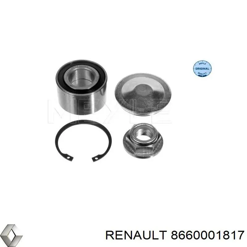 Підшипник задньої ступиці 8660001817 Renault (RVI)