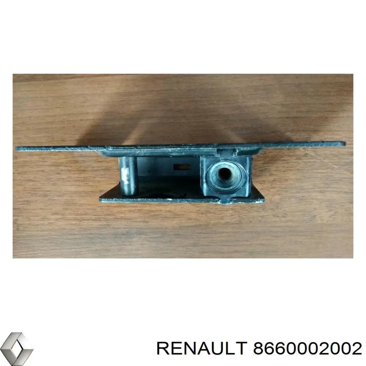 Купити 8660002002 Renault (RVI) Диск заднього гальма
