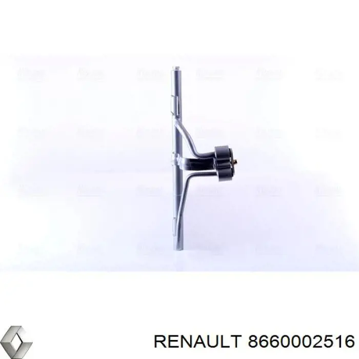  8660002516 Renault (RVI)