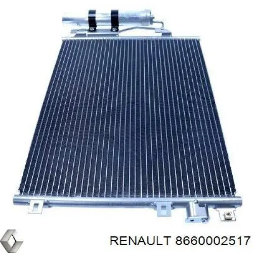  8660002517 Renault (RVI)