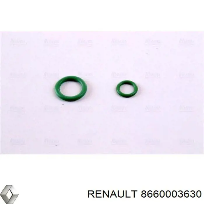  8660003630 Renault (RVI)