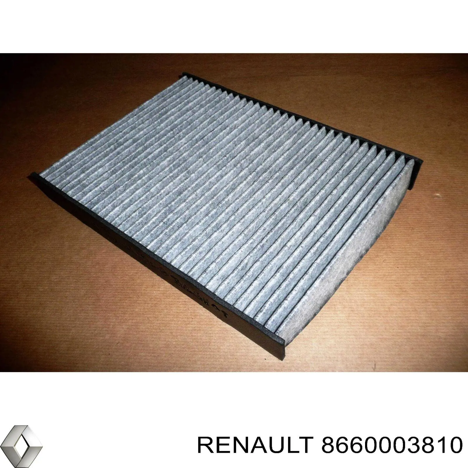 Фільтр салону 8660003810 Renault (RVI)