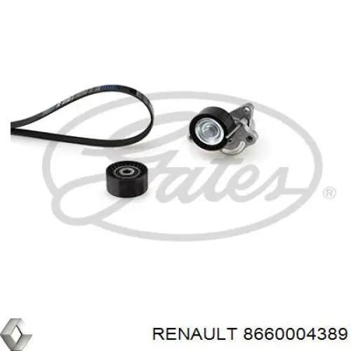 8660004389 Renault (RVI) Ремінь приводний, агрегатів, комплект