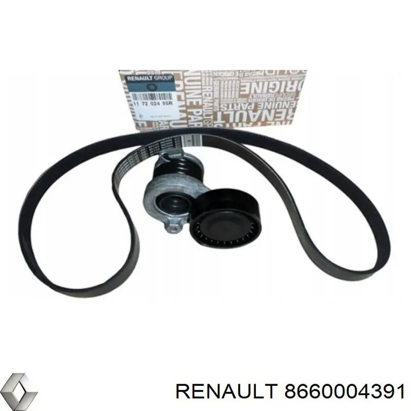 Ремінь приводний, агрегатів, комплект Renault (RVI) 8660004391 ціна, від 59.65 USD