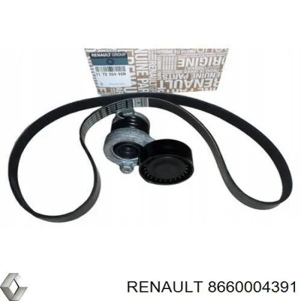 8660004391 Renault (RVI) Ремінь приводний, агрегатів, комплект