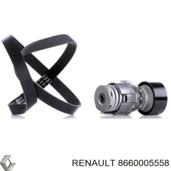 Купити 8660005558 Renault (RVI) Натягувач приводного ременя