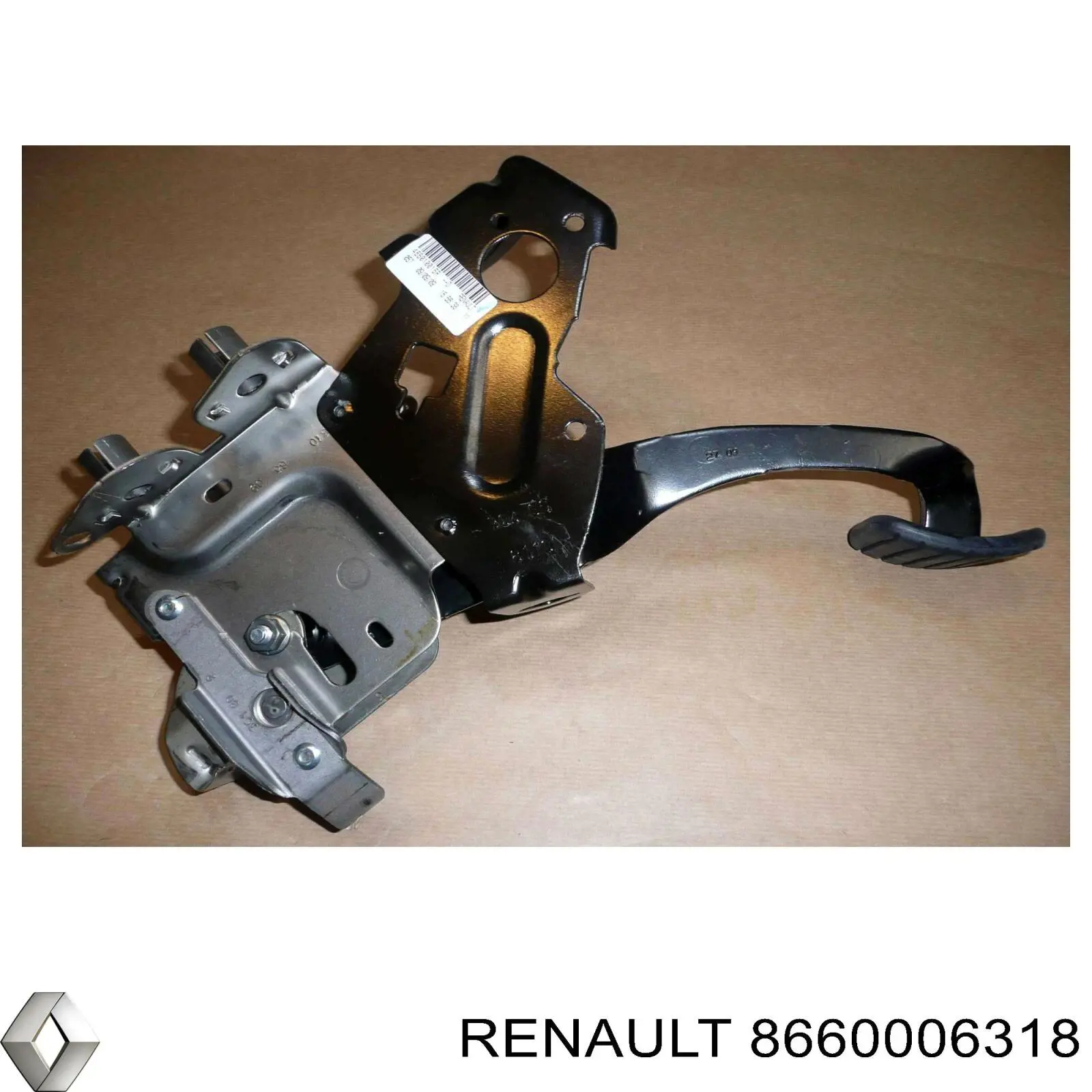  8660006318 Renault (RVI)