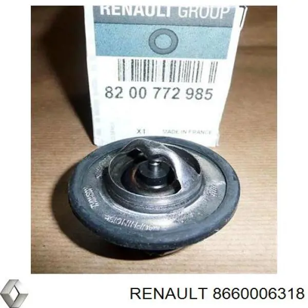  Renault (RVI) 8660006318 ціна, від 31.92 USD
