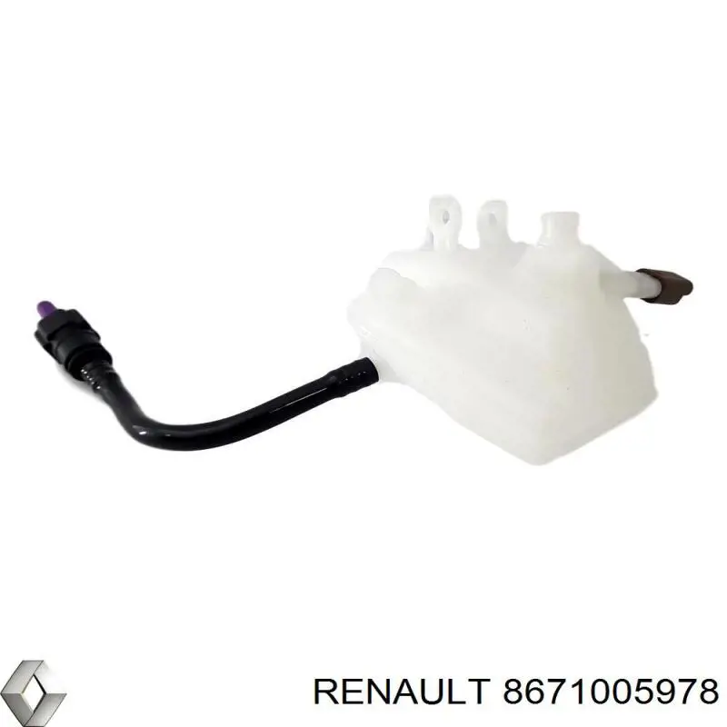 8671005978 Renault (RVI) Гальмо дискове переднє