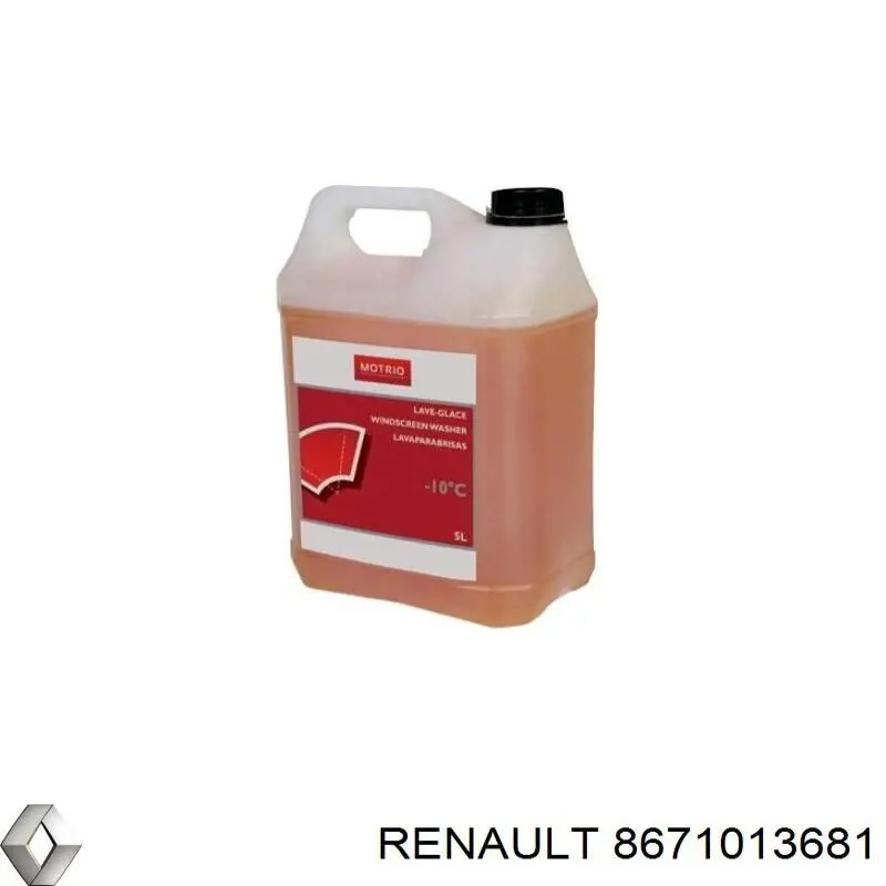 8671013681 Renault (RVI) 