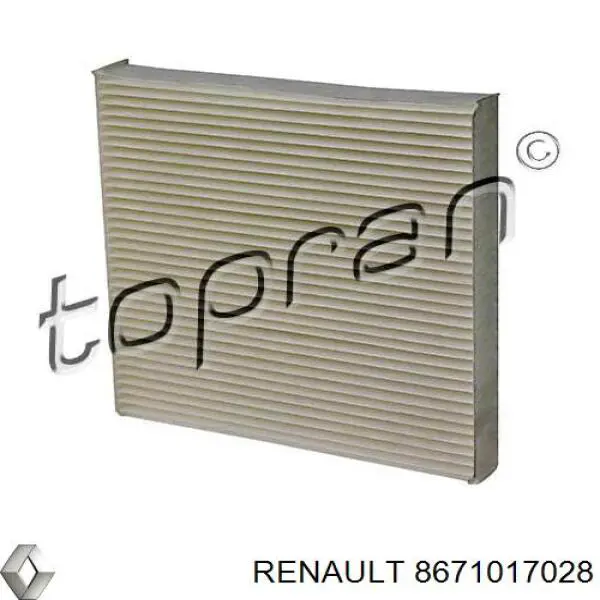 8671017028 Renault (RVI) фільтр салону