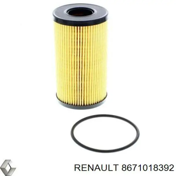 Купити 8671018392 Renault (RVI) Фільтр очищення масла відцентровий