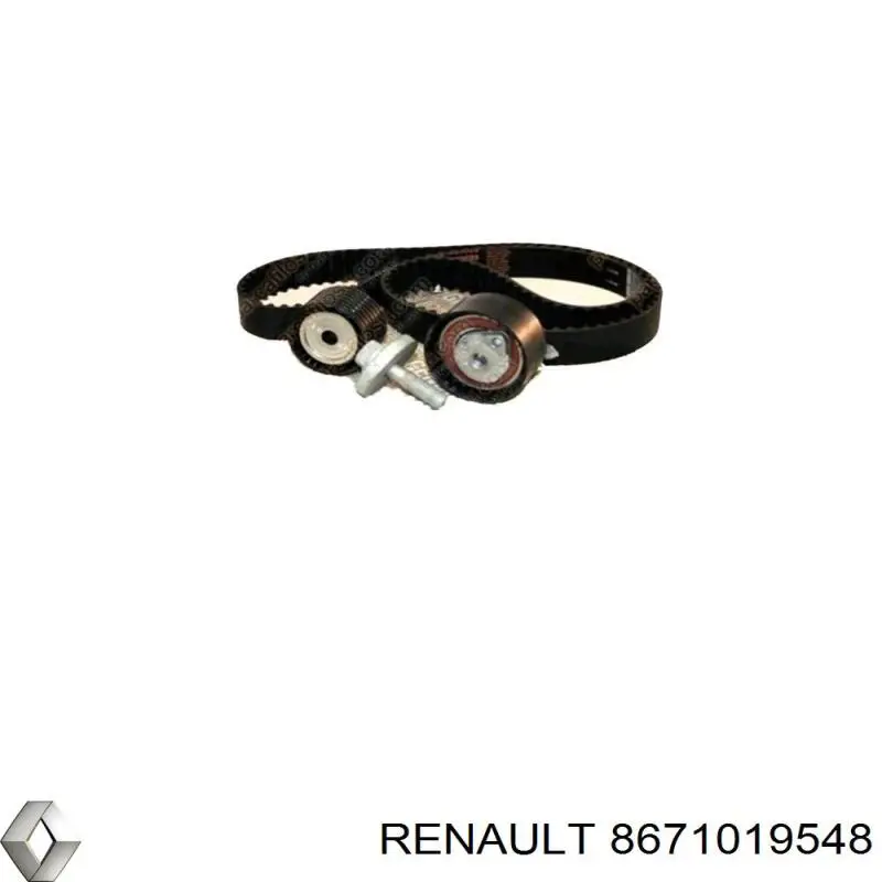 8671019548 Renault (RVI) комплект грм
