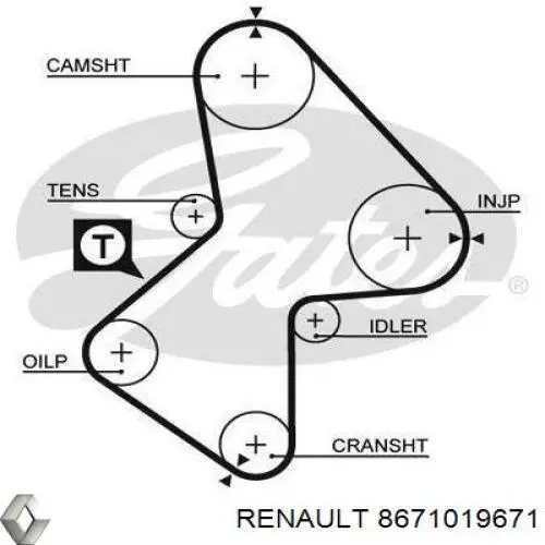 Купити 8671019671 Renault (RVI) ГРМ ремень
