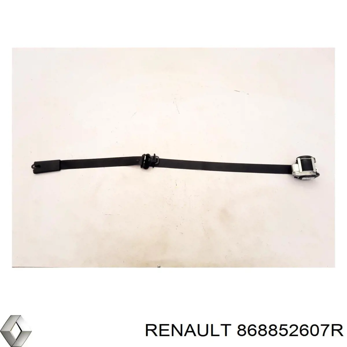  868852607R Renault (RVI)