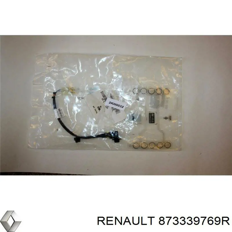 873339769R Renault (RVI) 