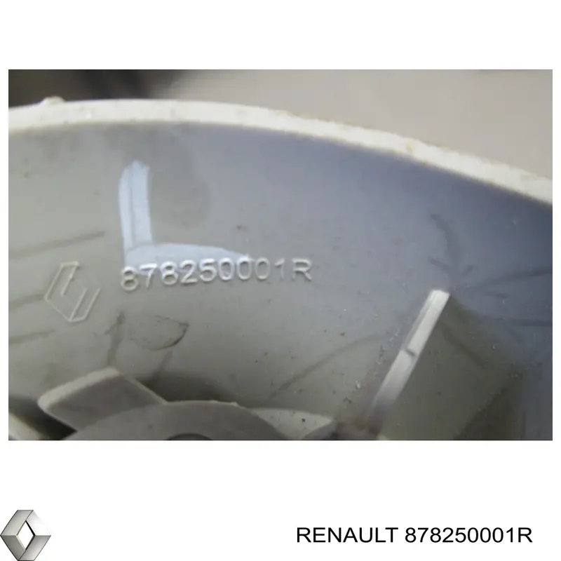 878250001R Renault (RVI) 