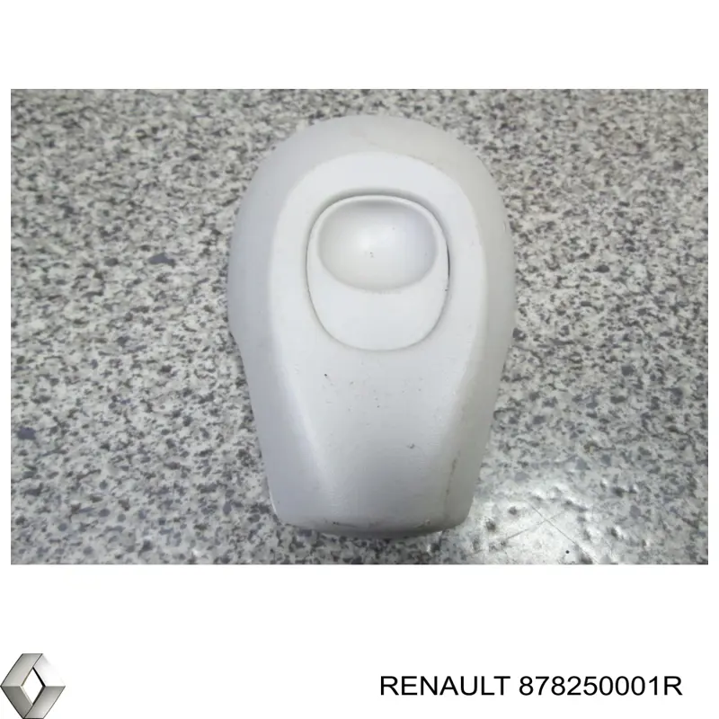 Купити 878250001R Renault (RVI) 