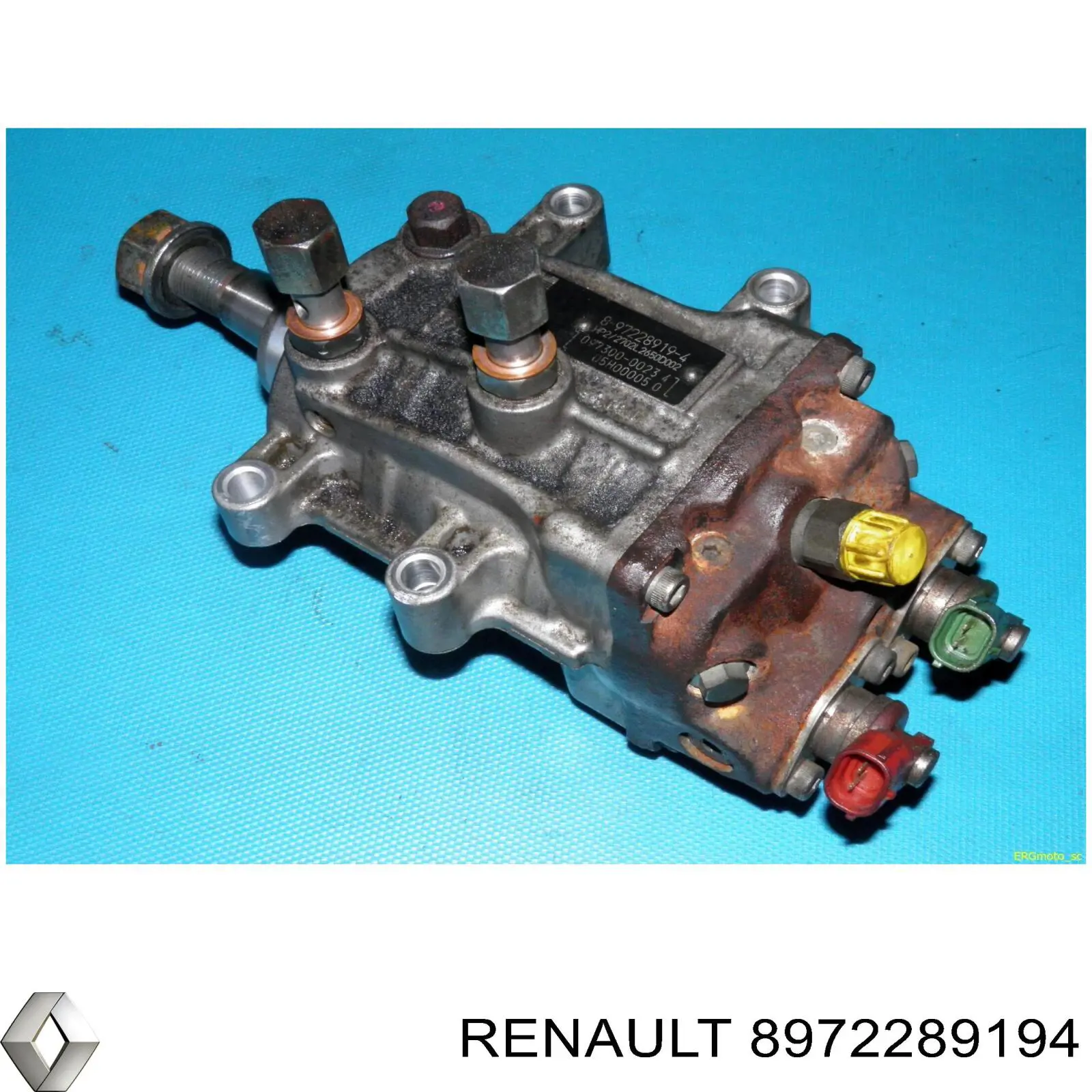  8972289194 Renault (RVI)