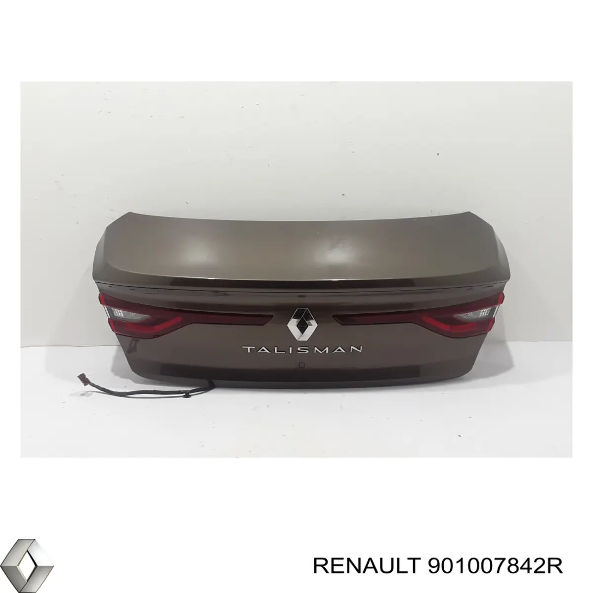 901007842R Renault (RVI) Треті двері