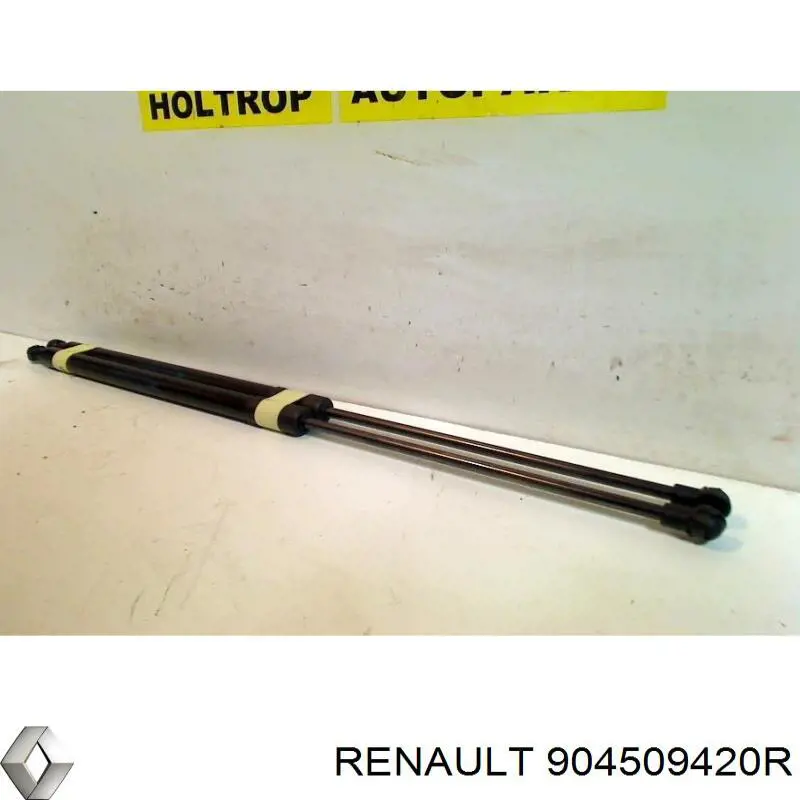  Renault (RVI) 904509420R ціна, від 18.60 USD