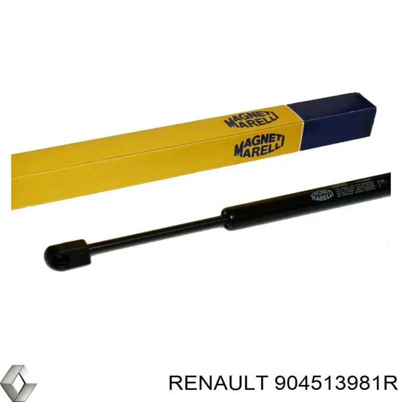 Амортизатор двері задньої Renault (RVI) 904513981R ціна, від 10.93 USD
