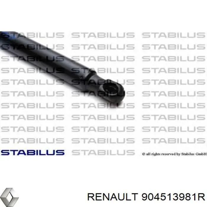 904513981R Renault (RVI) амортизатор кришки багажника/ двері 3/5-ї задньої