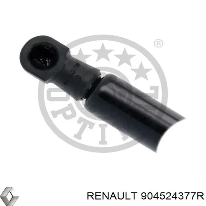 Renault (RVI) 904524377R ціна, від 133.90 USD