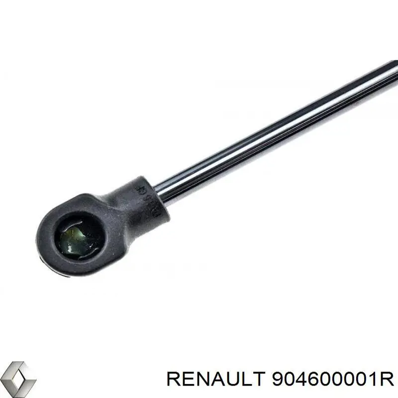 Амортизатор скла задніх, 3/5-ї двері (ляди) Renault (RVI) 904600001R