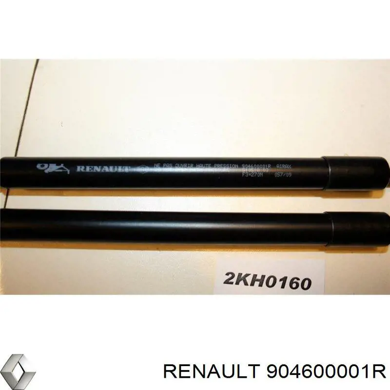 904600001R Renault (RVI) амортизатор скла задніх, 3/5-ї двері (ляди)