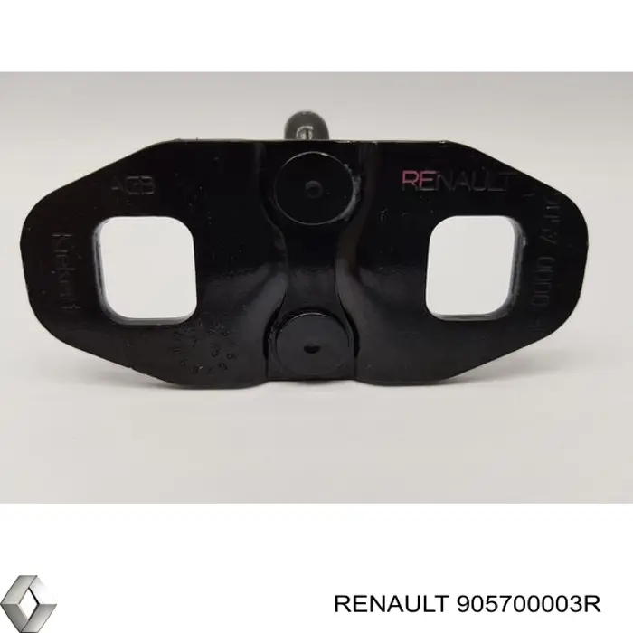 905700003R Renault (RVI) 